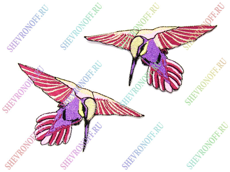 Патч колибри розовая