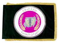 Знамя для иностранной делегации