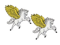 Патч пегас