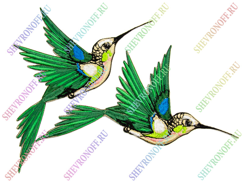 Патч колибри зеленая